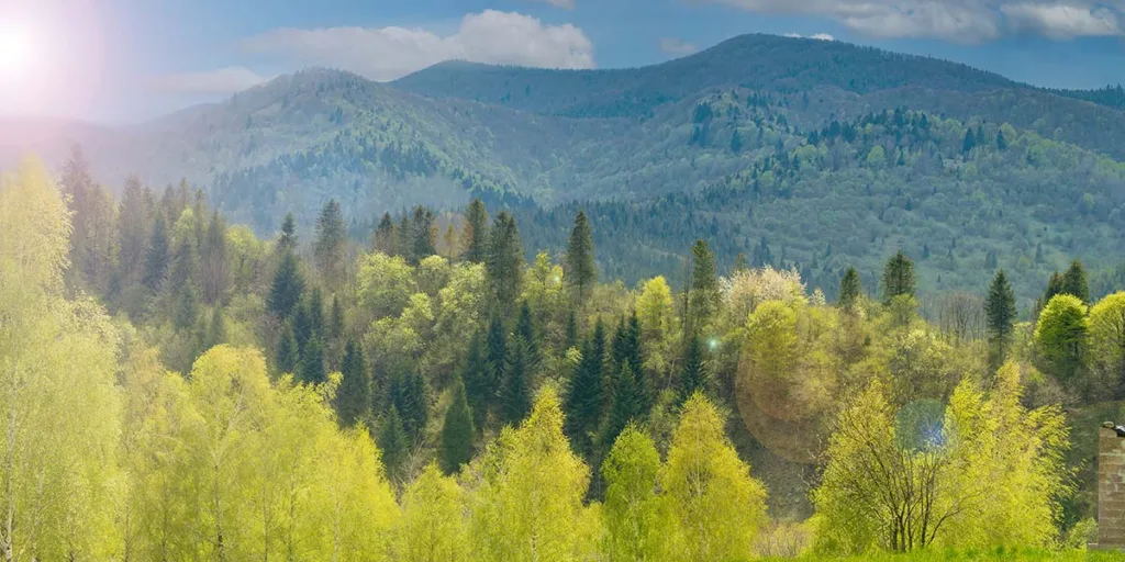 вид на гори Карпати з панорамних вікон Шпаківня-village